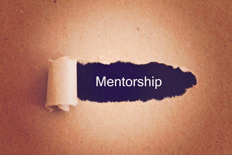 Mentorship Programs